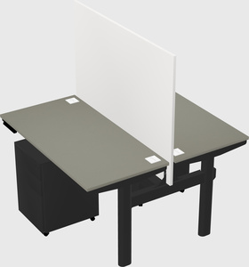 Shared electric desk