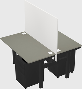 Shared electric desk