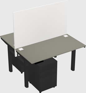 Shared electric desk
