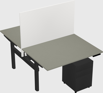 Shared electric desk