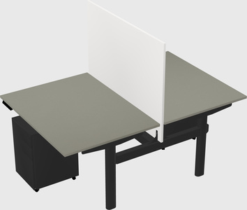 Shared electric desk