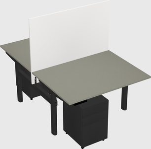 Shared electric desk
