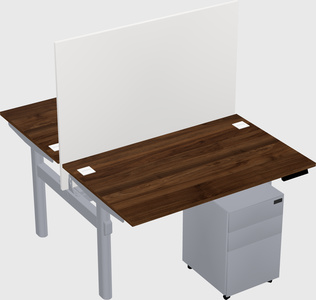 Shared electric desk