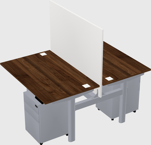 Shared electric desk