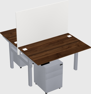 Shared electric desk