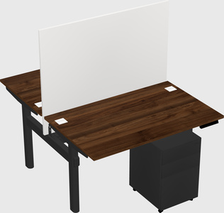 Shared electric desk
