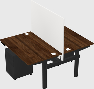 Shared electric desk