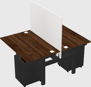 Shared electric desk