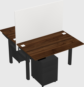 Shared electric desk