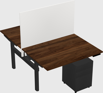 Shared electric desk