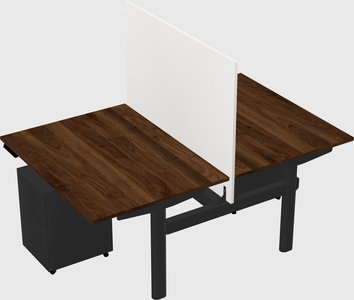 Shared electric desk