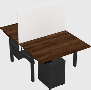 Shared electric desk
