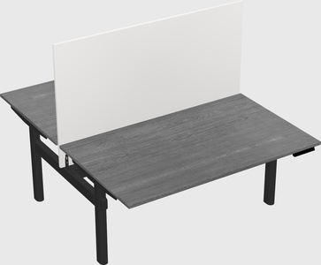 Shared electric desk