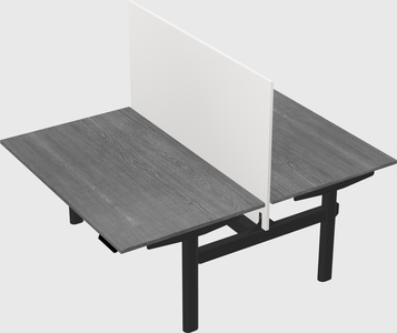 Shared electric desk