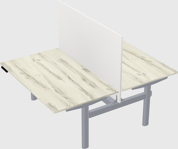 Shared electric desk