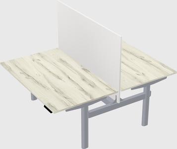 Shared electric desk