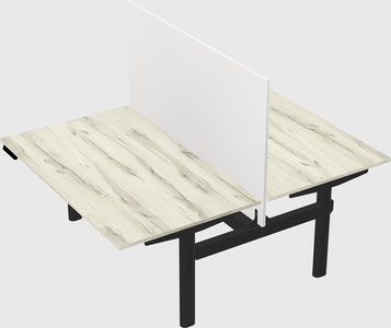 Shared electric desk
