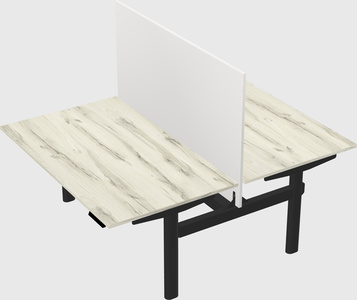 Shared electric desk