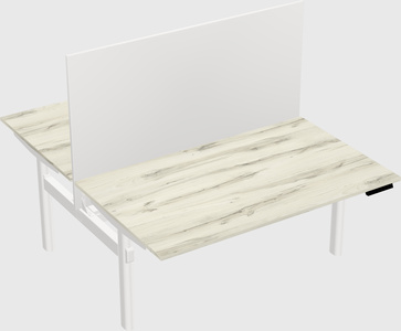 Shared electric desk