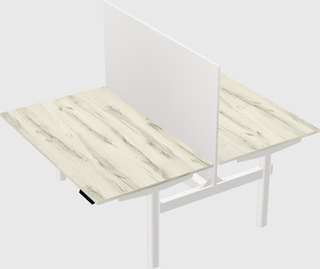 Shared electric desk