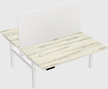 Shared electric desk