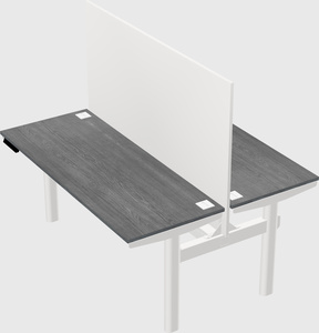Shared electric desk
