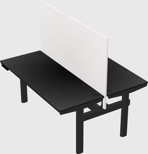 Shared electric desk
