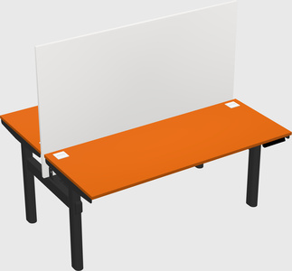 Shared electric desk
