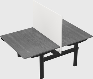 Shared electric desk