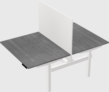 Shared electric desk