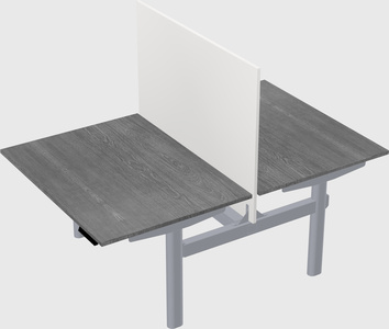 Shared electric desk