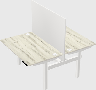 Shared electric desk