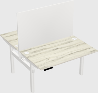 Shared electric desk