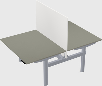 Shared electric desk
