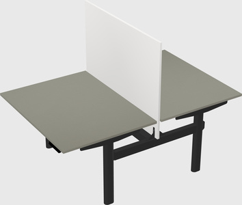 Shared electric desk