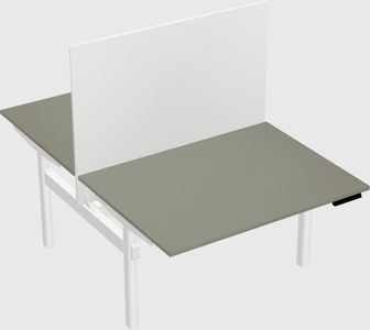 Shared electric desk
