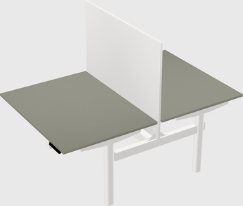 Shared electric desk