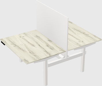 Shared electric desk