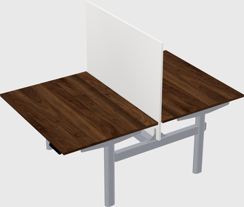 Shared electric desk
