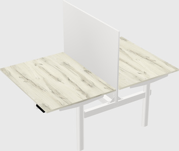 Shared electric desk