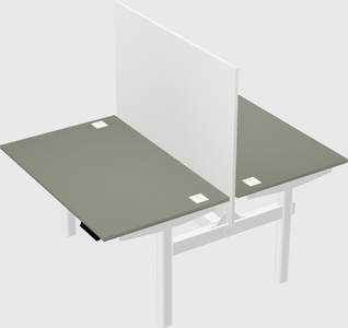 Shared electric desk