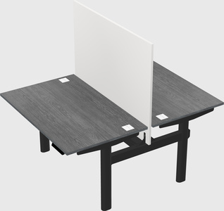 Shared electric desk