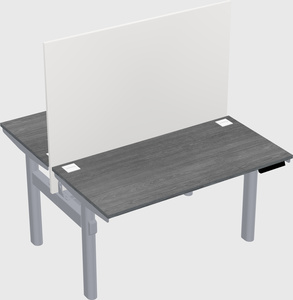 Shared electric desk
