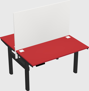 Shared electric desk