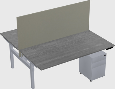 Shared electric desk