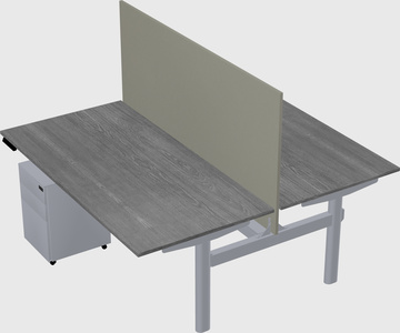 Shared electric desk