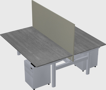 Shared electric desk
