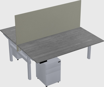 Shared electric desk