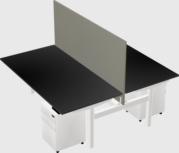 Shared electric desk