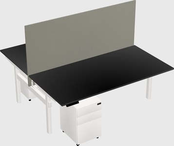 Shared electric desk